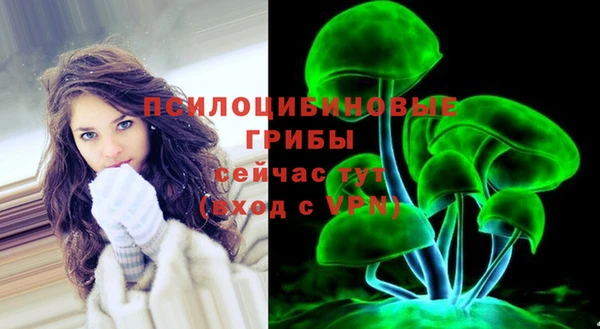 2c-b Арсеньев