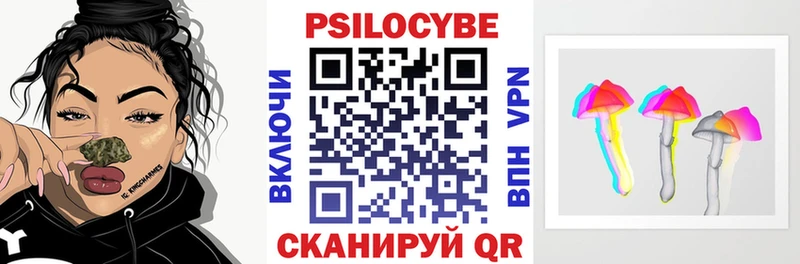 KRAKEN ССЫЛКА  Нарткала  Псилоцибиновые грибы Psilocybe 