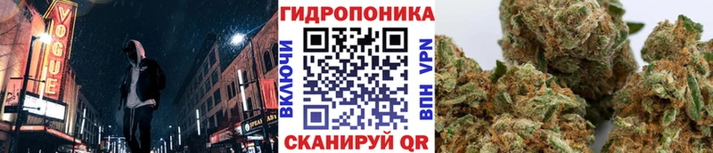 Каннабис SATIVA & INDICA  Нарткала 
