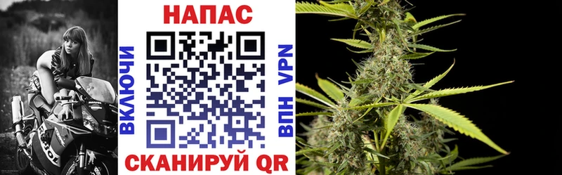 Бошки Шишки планчик Нарткала